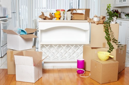 Flexible man with a van Millwall service for residential and business moves